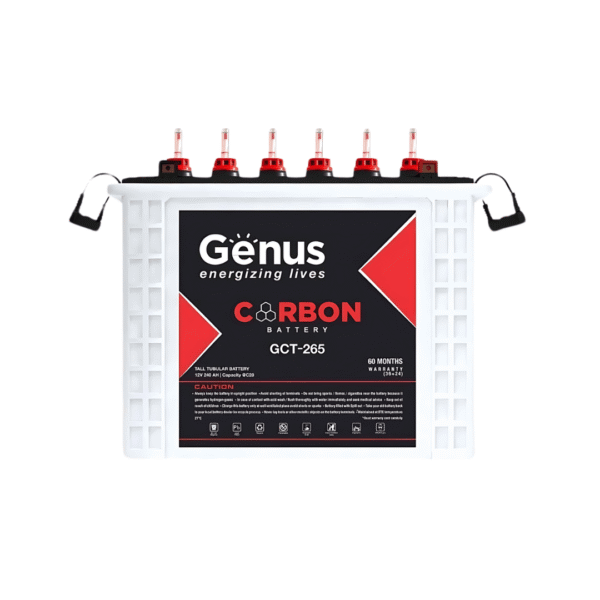 Genus-240AH2V-Carbon-Tubular-Battery-SIL11273.png